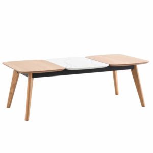 table Basse Rectangulaire en Bois PROPUS